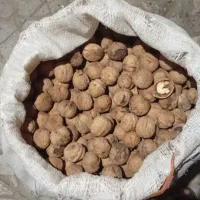 گردو درجه 1 مجود شد حراج