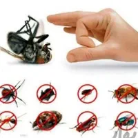 سم پاشی،سمپاشی سوسک و ساس 100٪ تضمینی باضمانت کتبی|خدمات نظافت|تهران, نارمک|دیوار