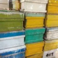 کندو دسته دوم