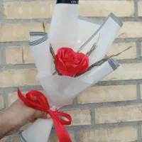 تک شاخه زیبا