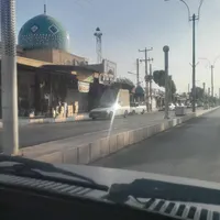 پرنده پیدا کردم