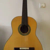 گیتار arya ak30