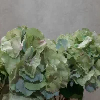 تابلورزین نوسایز۲۰در۲۵|صنایع دستی و سایر لوازم تزئینی|مشهد, آبادگران|دیوار