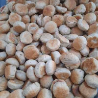 خوردنیهای تازه وخوشمزه