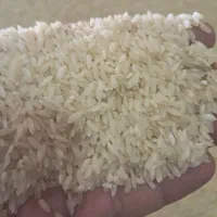 برنج لنجان به شرط پخت|خوردنی و آشامیدنی|اصفهان, سرشبادران|دیوار