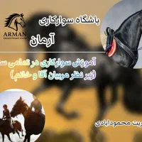 آموزش سوارکاری