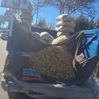 آجیل درجه ۱|عمدهفروشی|دیواندره, |دیوار