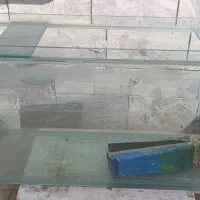 آکواریوم و ماهی