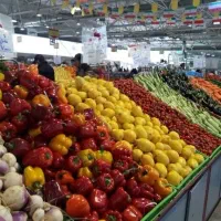 استخدام نیرو دائم جهت کار در میوه فروشی