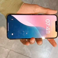 iphone 12 promax|موبایل|کرج, عظیمیه|دیوار