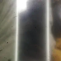 موبایل شیامی