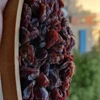 کشمش مرغوب شیراز (دشمن زیاری)