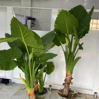 نیازمند منشی خانم جهت فروش و مدیریت