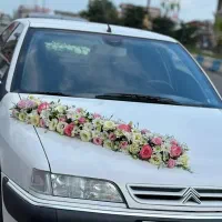 دیزاین ماشین عروس و دسته گل عروس|گل و گیاه طبیعی|اهواز, پادادشهر|دیوار