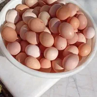 باسلام تخم مرغ محلی