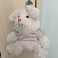 عروسک|اسباب‌بازی بچه|ایلام, |دیوار