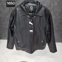 کاپشن|لباس|چناران, |دیوار