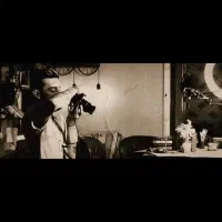 ساخت لوگو،بنر،منو. ادیت حرفه‌ای ویدیو.نتیجه‌محور