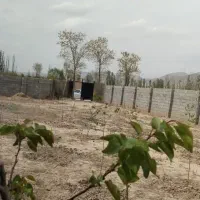 فروش فوری باغ ویلایی