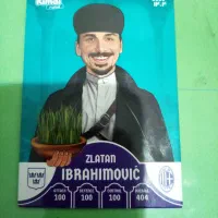 کیمدی زلاتان