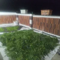 سبزی اماده|خوردنی و آشامیدنی|نهاوند, |دیوار