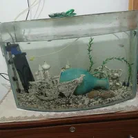 اکواریوم توافقی