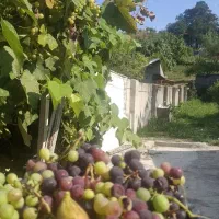 فروش ویلا کوهپایه ،لوندویل ،چلوند،سند تک برگ