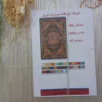 فرش زرنیم سالاری|فرش|رشت, پل تالشان|دیوار