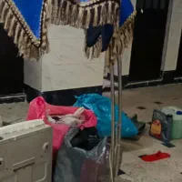 آباژور در حد کاملا سالم