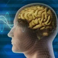 آموزش معامله گری  بدون تحلیل