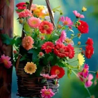 پرستار سالمند