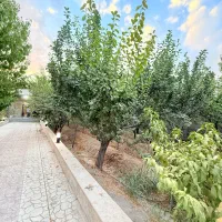۱۳۰۰متر/باغ ویلای جنگلی/با سند شش دانگ/بدون تخریب|فروش خانه و ویلا|شهریار, رنگرز|دیوار