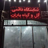 انواع گل‌های آپارتمانی و کاکتوس در خوی