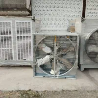 خرید فروش قفس مرغ تخمگذار گوشتی|لوازم جانبی حیوانات|آوج, |دیوار