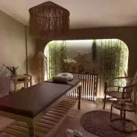 ماساژ  حرفه ای