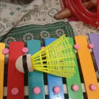 بلز،تویوپ بادی ،توپ،طناب|اسباب‌بازی بچه|کرج, ساماندهی|دیوار