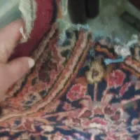 فرش قرمز دستباف|فرش|اصفهان, بوستان ناژوان|دیوار