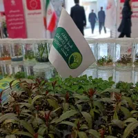 دهکده نهالستان تخصصی با تضمین سلامت، پایه جی ان