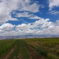 زمین-کشاورزی-با-سند-ملکی