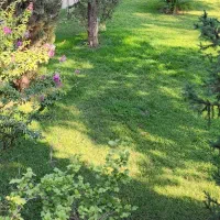 نیروی مراقبت و پرستاری از سالمند