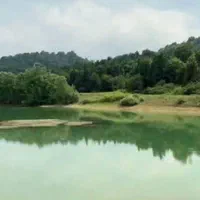 فروش زمین کنار دریاچه و جنگل از ۱۲۰ متر تا ۱۰۰۰متر|فروش زمین و ملک کلنگی|محمودآباد, |دیوار