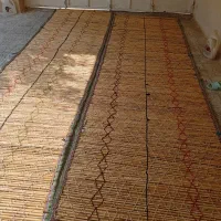 چیت