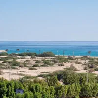 ۲ خواب دید فول دریا