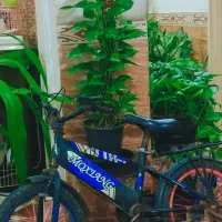 دوچرخه سالم