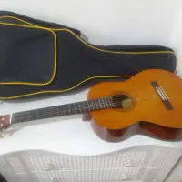 گیتار مدل c40