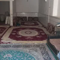 زیرزمین گلخانه ای