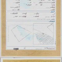 زمین دور باغ 335 متری مربع