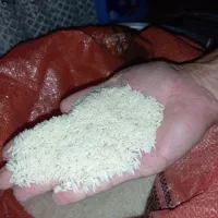 برنج دمسیاه صدری اعلاء اصیل گیلان خالص خالص|خوردنی و آشامیدنی|رشت, پل تالشان|دیوار