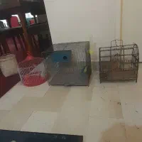 سه عدد قفس پرنده