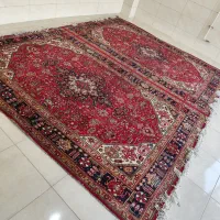 فرش دسباف|فرش|نقده, |دیوار